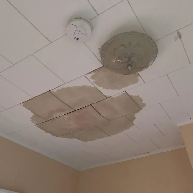 Ceiling Water Damage Repair in Baton Rouge, LA